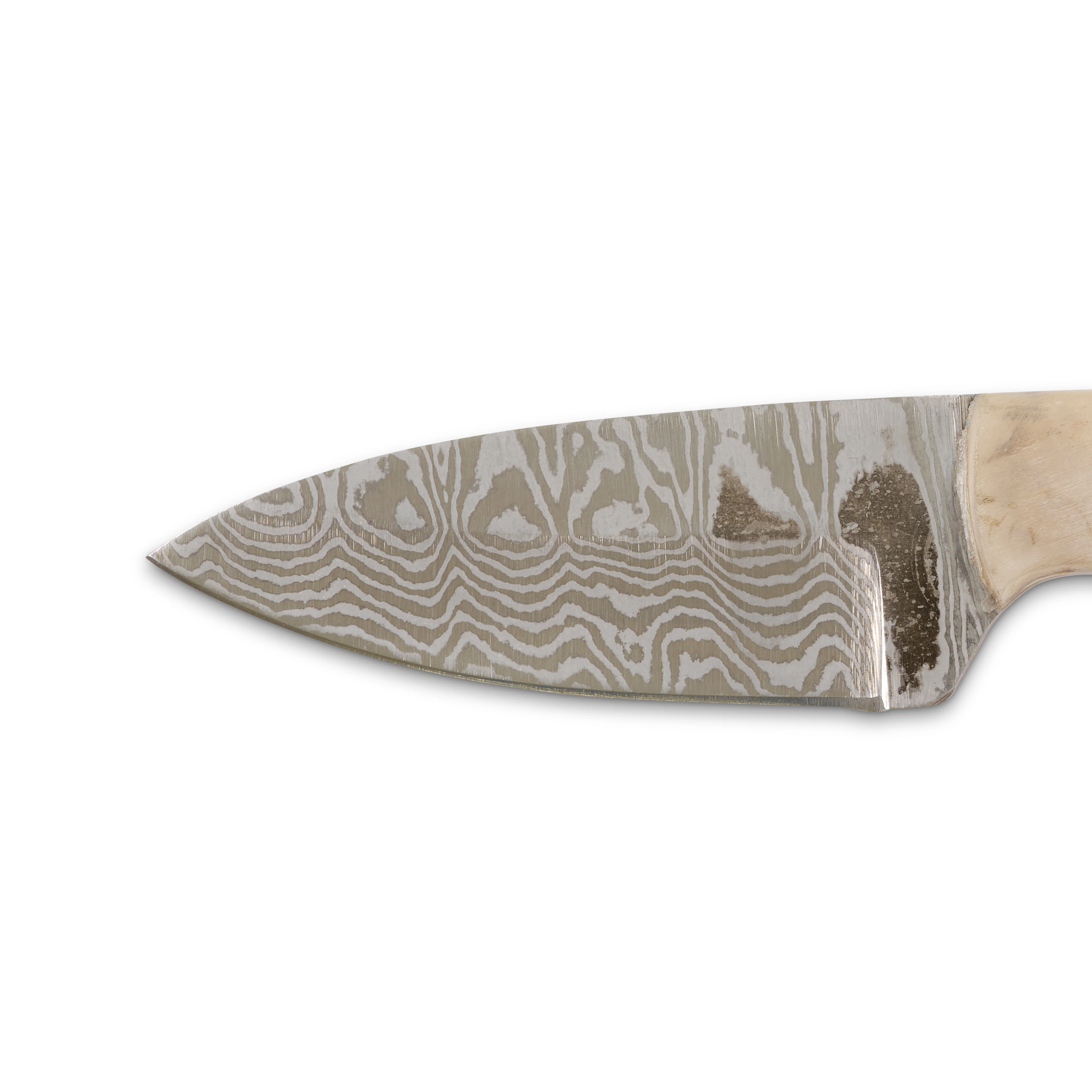 Damascus Skinner Ram Horn Fixed Blade - Image 2